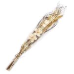 Ramo Flores Secas Orquídea